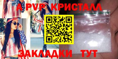 стаф Кунгур