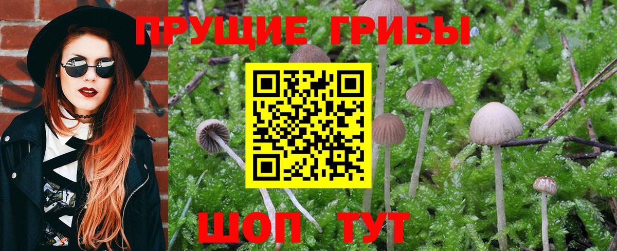 Златоуст  Псилоцибиновые грибы MAGIC MUSHROOMS  купить   Вход с VPN 