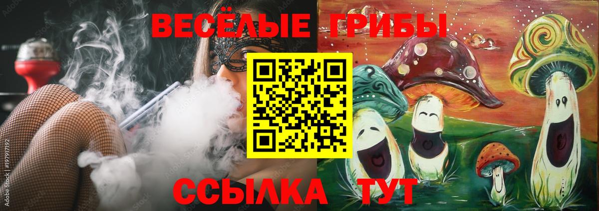 Псилоцибиновые грибы Psilocybe Златоуст